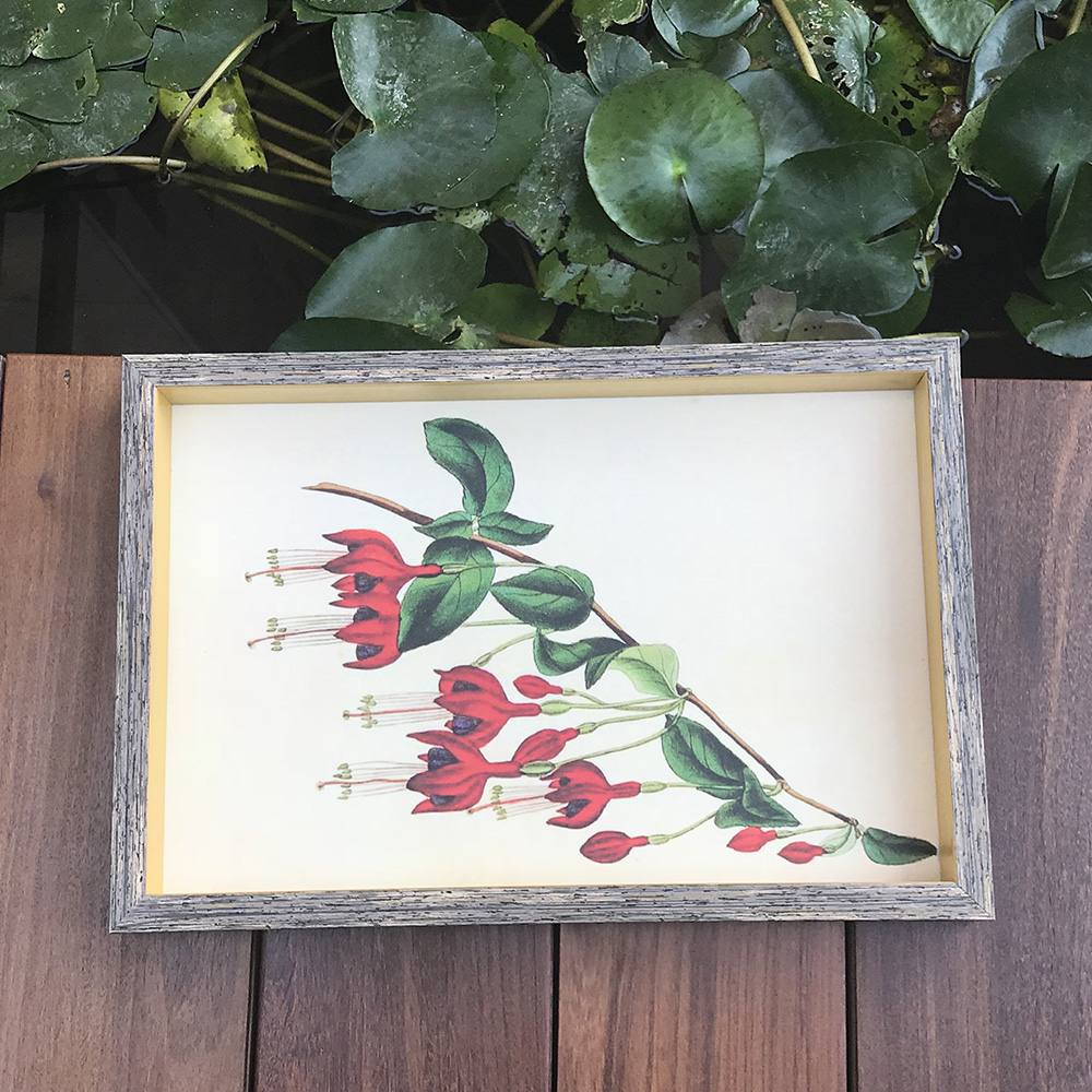 Red flower tray